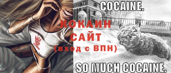 стафф Белокуриха
